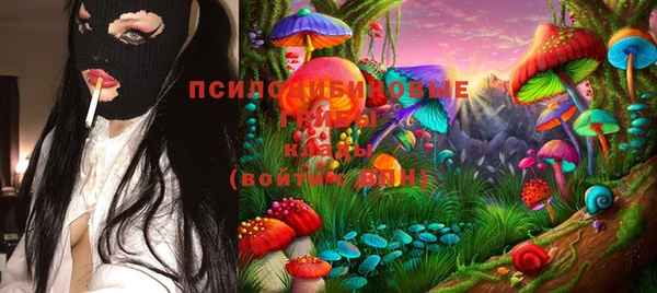 эйфоретик Богородицк