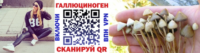 Галлюциногенные грибы мухоморы  магазин  наркотиков  Новый Оскол 